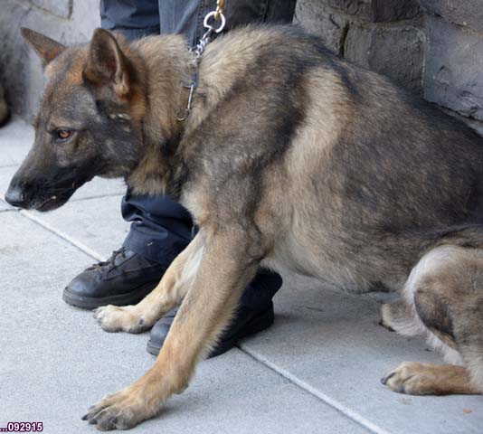 092915_7166